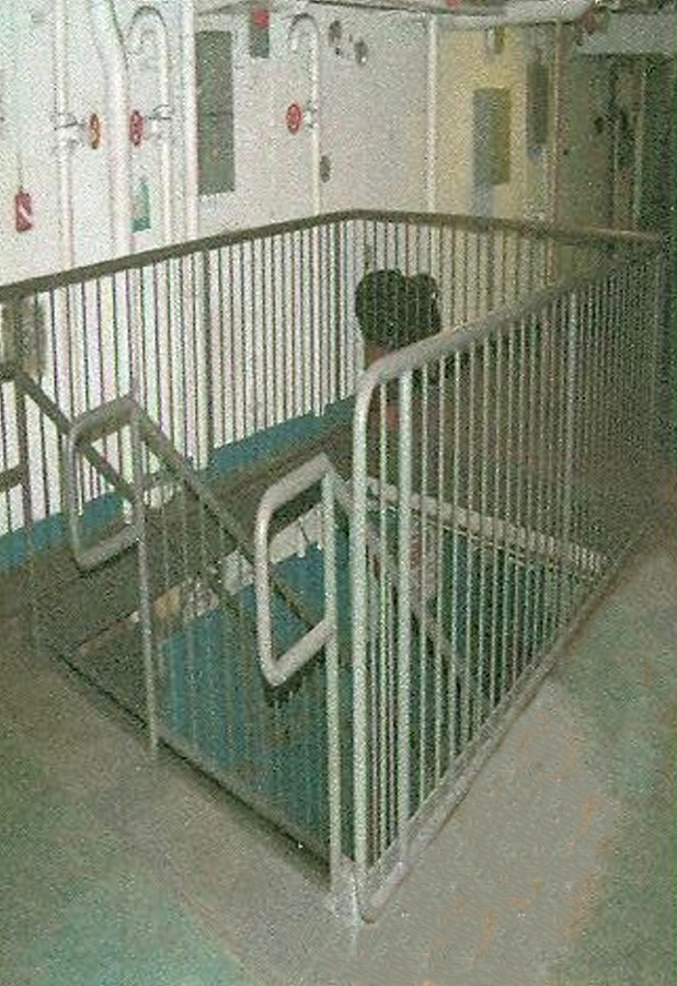 Intrepid Steps and Platforms